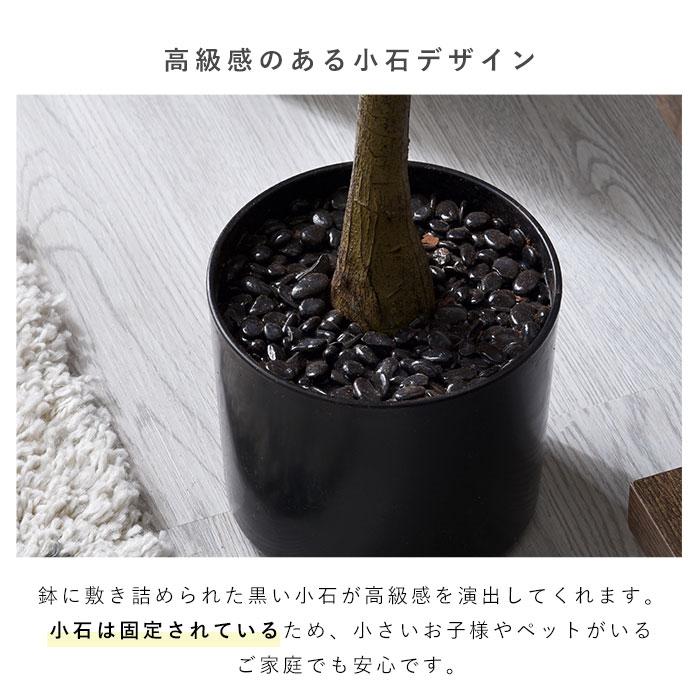 フェイクグリーン 大型 玄関 オリーブ オリーブの木 150cm 鉢植え おしゃれ 新築祝い スリム 人工観葉植物 観葉植物 フェイク インテリア リアル プランター 枝の画像