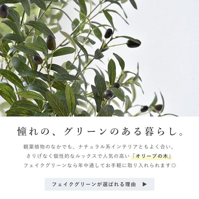 フェイクグリーン 大型 玄関 オリーブ オリーブの木 150cm 鉢植え おしゃれ 新築祝い スリム 人工観葉植物 観葉植物 フェイク インテリア リアル プランター 枝の画像