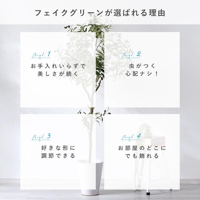 フェイクグリーン 大型 玄関 オリーブ オリーブの木 150cm 鉢植え おしゃれ 新築祝い スリム 人工観葉植物 観葉植物 フェイク インテリア リアル プランター 枝の画像
