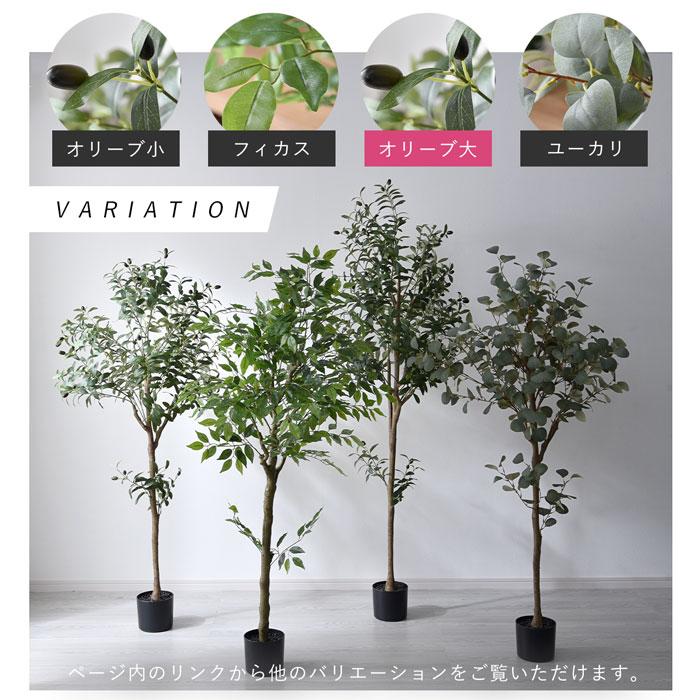 フェイクグリーン 大型 玄関 オリーブ オリーブの木 180cm 鉢植え