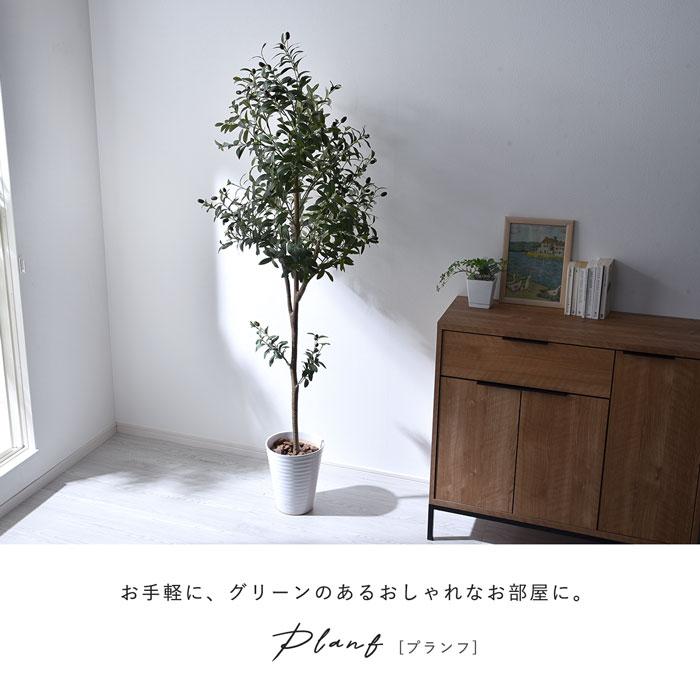 フェイクグリーン 大型 玄関 オリーブ オリーブの木 180cm 鉢植え