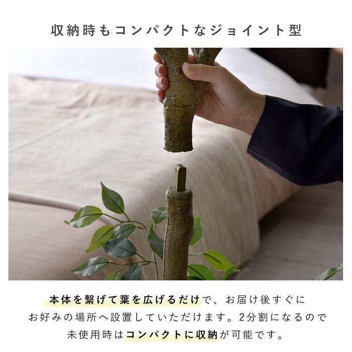 フェイクグリーン 大型 玄関 フィカス フィカスの木 ゴムの木 180cm 鉢植え おしゃれ 新築祝い スリム 人工観葉植物 観葉植物 フェイク インテリア リアルの画像