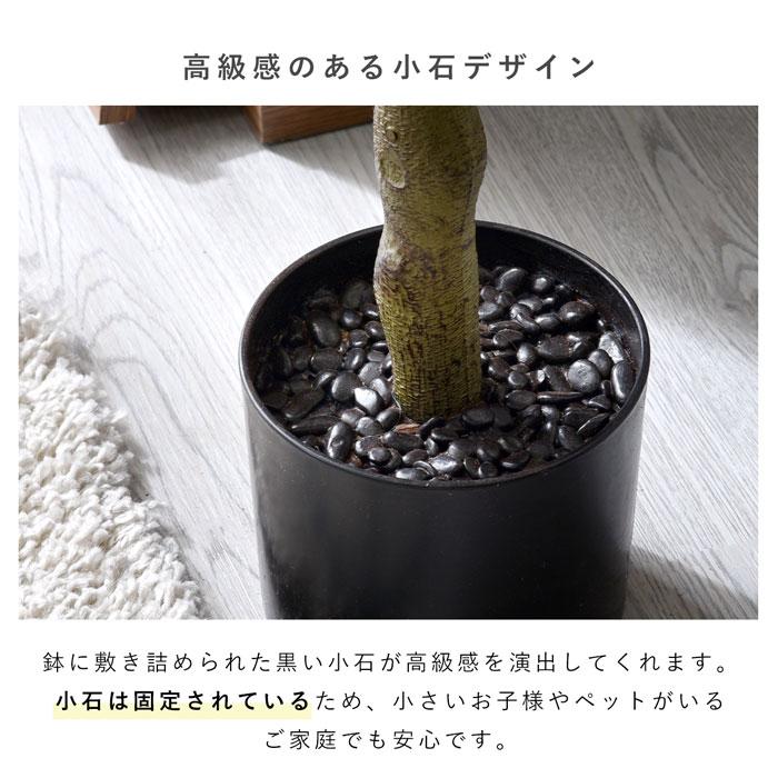 フェイクグリーン 大型 玄関 フィカス フィカスの木 ゴムの木 180cm 鉢植え おしゃれ 新築祝い スリム 人工観葉植物 観葉植物 フェイク インテリア リアルの画像