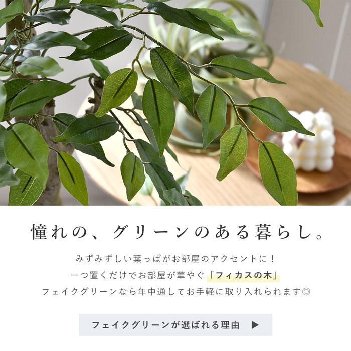 フェイクグリーン 大型 玄関 フィカス フィカスの木 ゴムの木 180cm 鉢植え おしゃれ 新築祝い スリム 人工観葉植物 観葉植物 フェイク インテリア リアルの画像