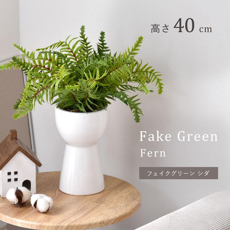 インテリアグリーン シダ 高さ40cm ナチュラル ナチュラルインテリア