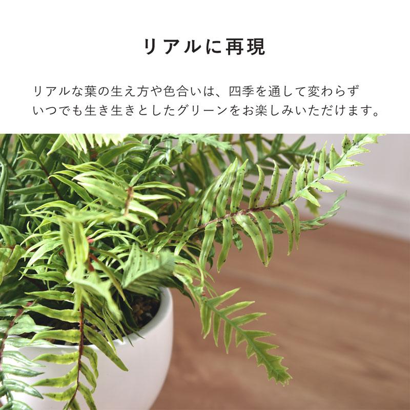 インテリアグリーン シダ 高さ40cm ナチュラル ナチュラルインテリア