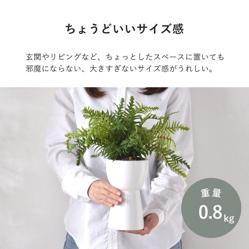 インテリアグリーン シダ 高さ40cm ナチュラル ナチュラルインテリア