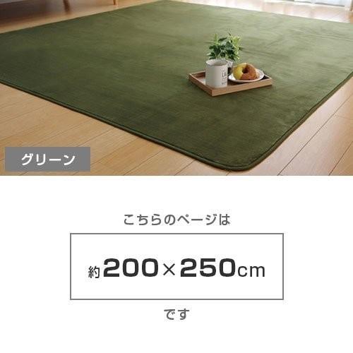 ラグ 200×250cm 3畳 長方形 カーペット ラグマット マット｜alberoshop｜11