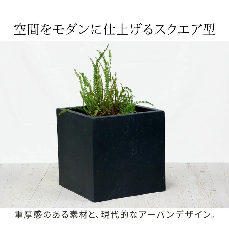 プランター キューブ型 立方体 正方形 植木鉢 深型 ボックス シンプル