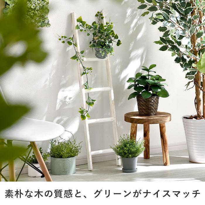 ラダーラック はしご 木製 インテリア 雑貨 おしゃれ オーナメント