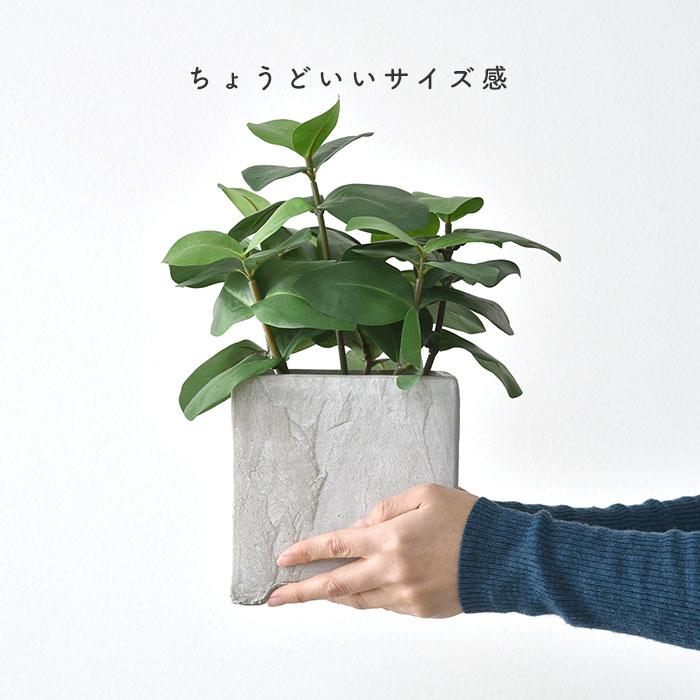 植木鉢 プランター 鉢 ポット スクエア 5号 おしゃれ 北欧 植木鉢 プランター 鉢 ポット スクエア 5号 おしゃれ 北欧