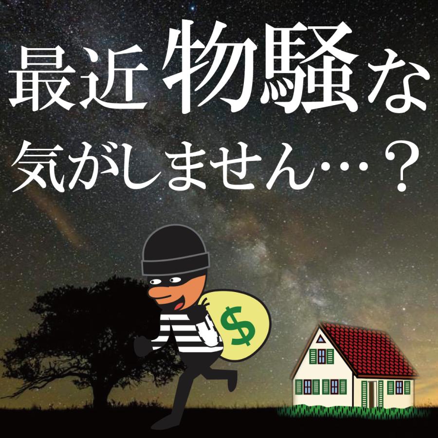 ソーラーライト 屋外 センサー LED 人感 玄関 ガーデンライト 電池不要 明るい 防犯 駐車場 太陽光 自動点灯 防水 屋外照明 カーポート 太陽 ポイント消化 |  | 06