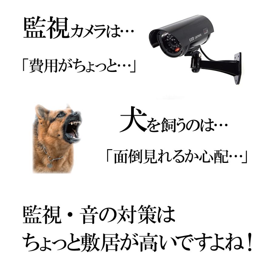 ソーラーライト 屋外 センサー LED 人感 玄関 ガーデンライト 電池不要 明るい 防犯 駐車場 太陽光 自動点灯 防水 屋外照明 カーポート 太陽 ポイント消化 |  | 08