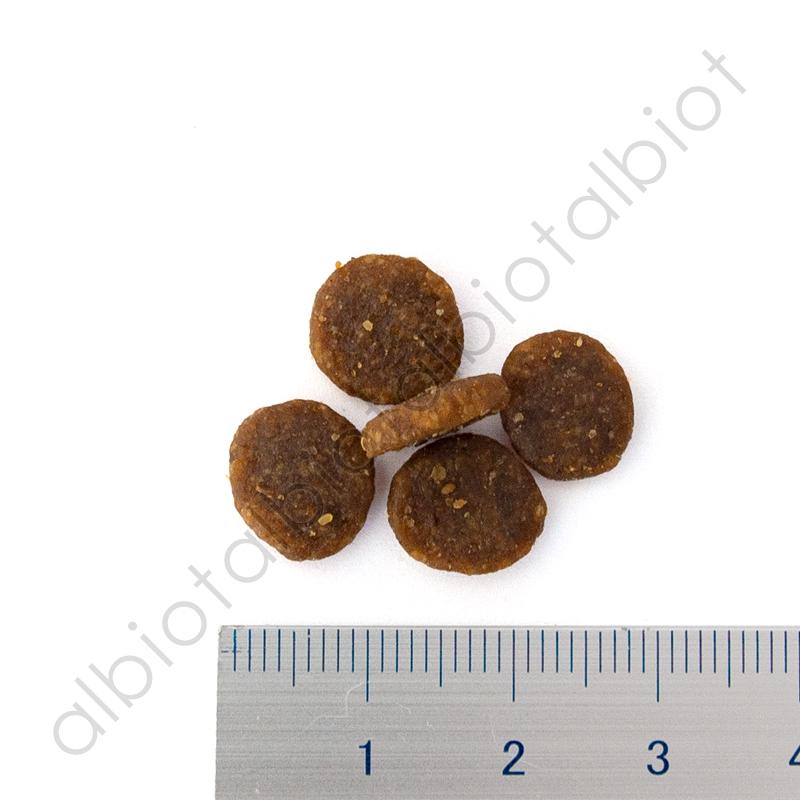 ACANA お取り寄せ品 アカナ アダルトスモールブリードレシピ 6kg