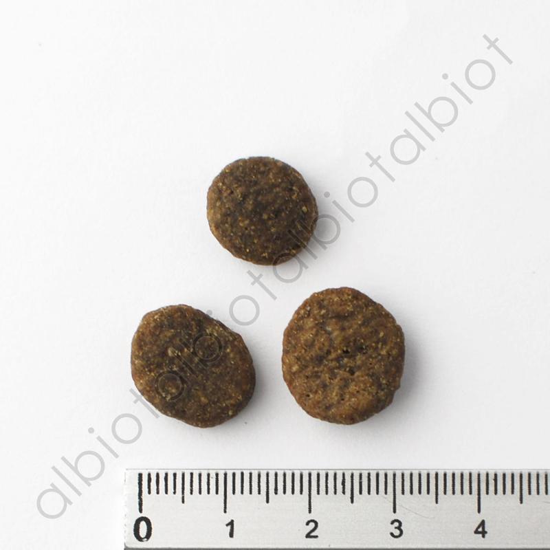 ACANA（アカナ） グラスフェッドラム 2kg ドッグフード : albiot