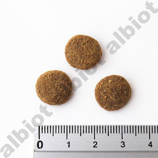 ACANA（アカナ） ライト＆フィットレシピ 2kg ドッグフード【爆買