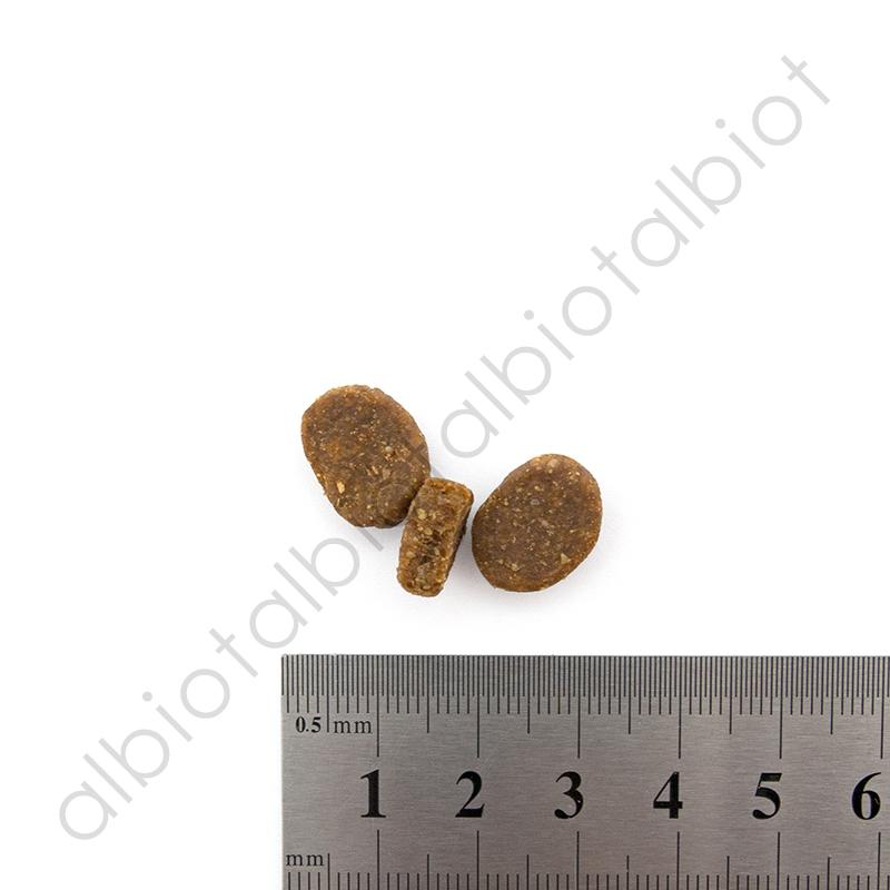ACANA（アカナ） お取り寄せ品 パシフィカドッグレシピ 11.4kg