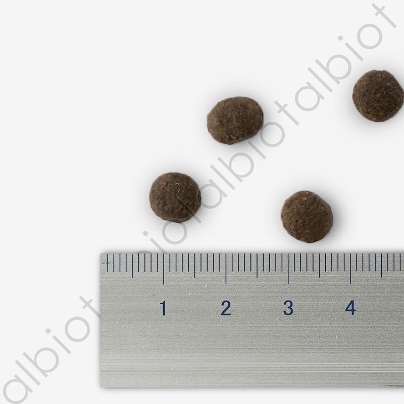 ブリスミックス キャット pH ペーハー コントロール 500g キャットフード | BLISMIX | 02