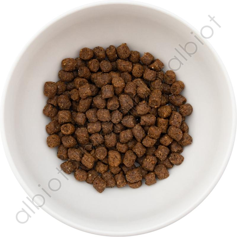 BLACKWOOD（ブラックウッド） パピー ドッグフード 2.7kg : albiot