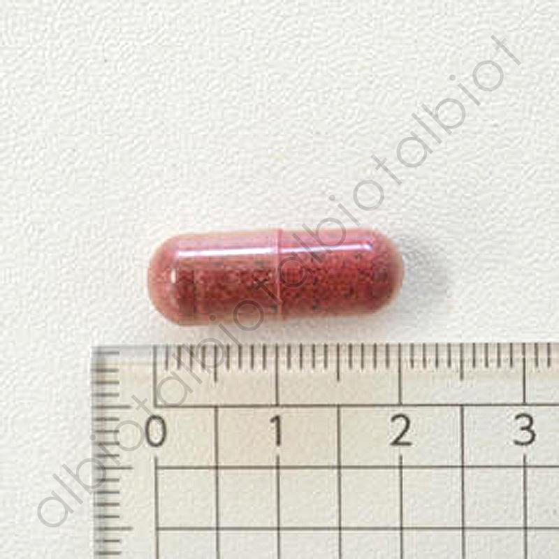 ECLECTIC Pets クランベリー 300mg×15カプセル|albiot-shop|02