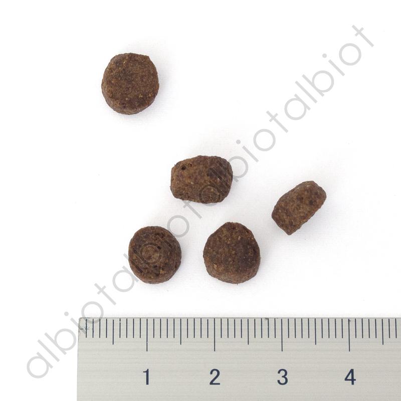 フィッシュ4 フィッシュ4ドッグ サーモン シニア 小粒 400g