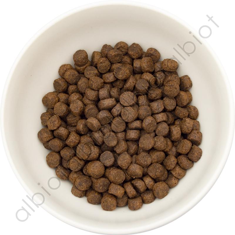 フィッシュ4 フィッシュ4ドッグ サーモン シニア 小粒 400g 