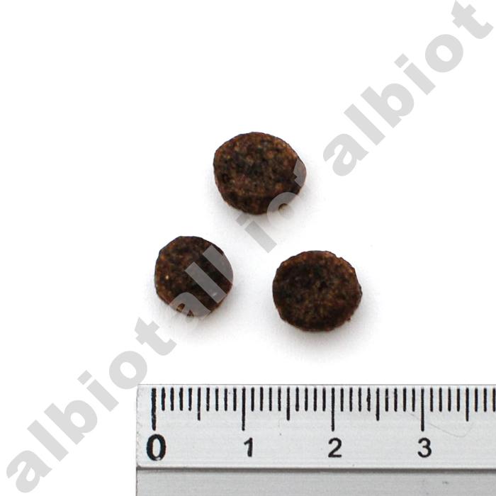 サーモン小粒3キロ2点、 ホワイトフィッシュ小粒1.5キロ1点