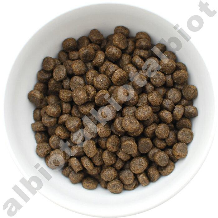 フィッシュ4 フィッシュ4ドッグ サーモン 小粒 400g