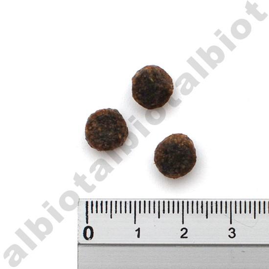 フィッシュ4 フィッシュ4ドッグ オーシャンホワイトフィッシュ 1.5kg