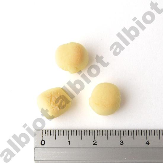 イミューンナチュラル ヤミーボーロ 70g | ブランド登録なし | 04