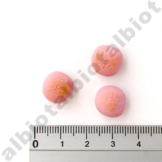 イミューンナチュラル ヤミーボーロ 70g | ブランド登録なし | 06