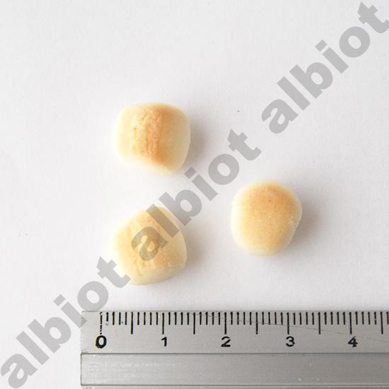 イミューンナチュラル ヤミーボーロ 70g | ブランド登録なし | 08