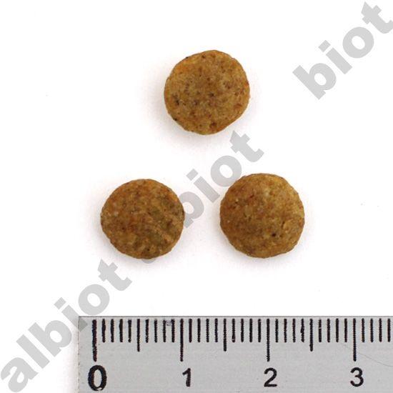 ナチュラルハーベスト キドニア 4袋1.36kg Amazon.co.jp: ナチュラルハーベスト キドニア 4袋セット