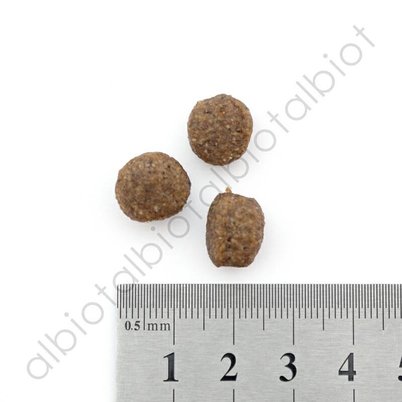 ナチュラルハーベスト（NATURAL harvest） メンテナンス ラム 6kg