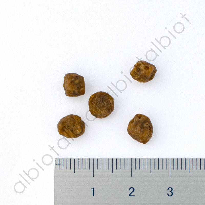 NOW FRESH ナウフレッシュ グレインフリー アダルトキャット 3.63kg