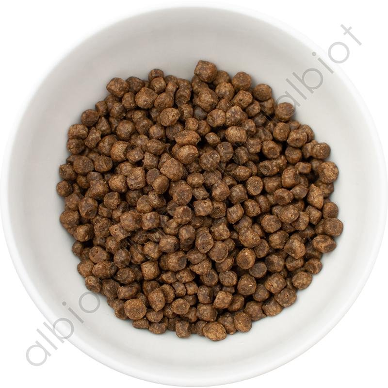 NOW FRESH ナウフレッシュ グレインフリー アダルトキャット 3.63kg