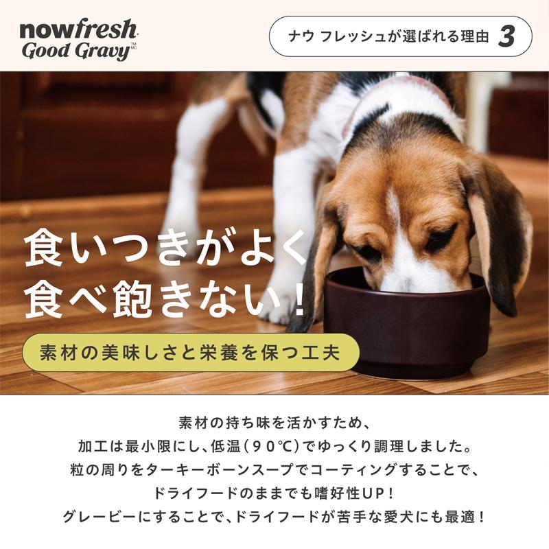 ナウフレッシュ グッドグレービー スモールブリード サーモンレシピ（小粒） 2.3kg ドッグフード_9
