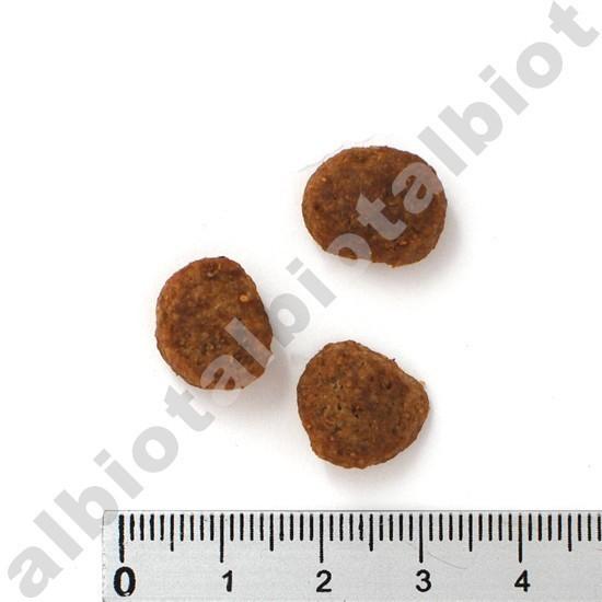 パーティアニマル カリフォルニア チキン＆オーツレシピ 1.81kg×2袋
