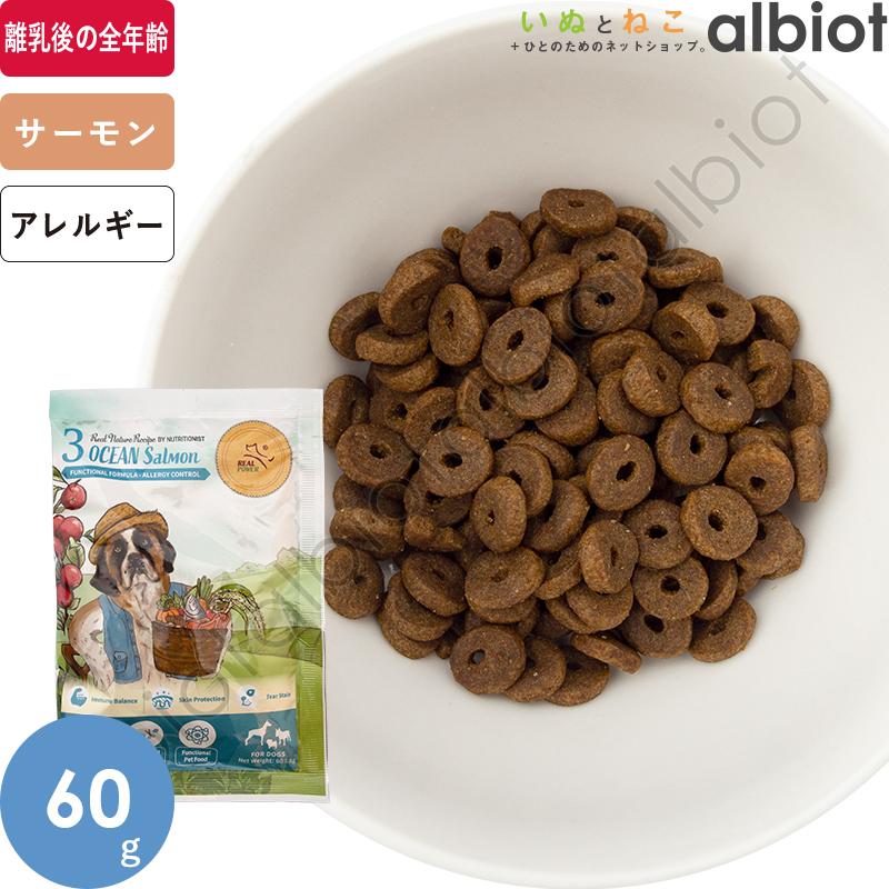 リアルネイチャーレシピ No.3 オーシャンサーモン 60g ドッグフード | ブランド登録なし