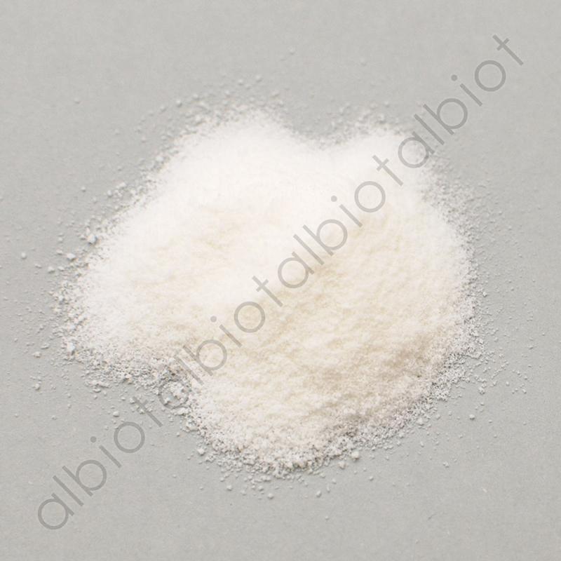 エイチジンブルー 30包 動物用乳酸菌食品 JIN （ペット用サプリメント） | ブランド登録なし | 02