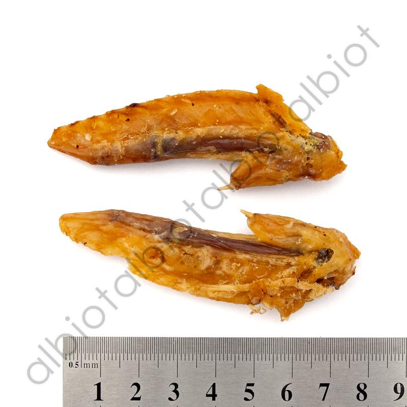 WOOF ワフ チキンウィングティップ トリーツ 50g : albiot - 通販