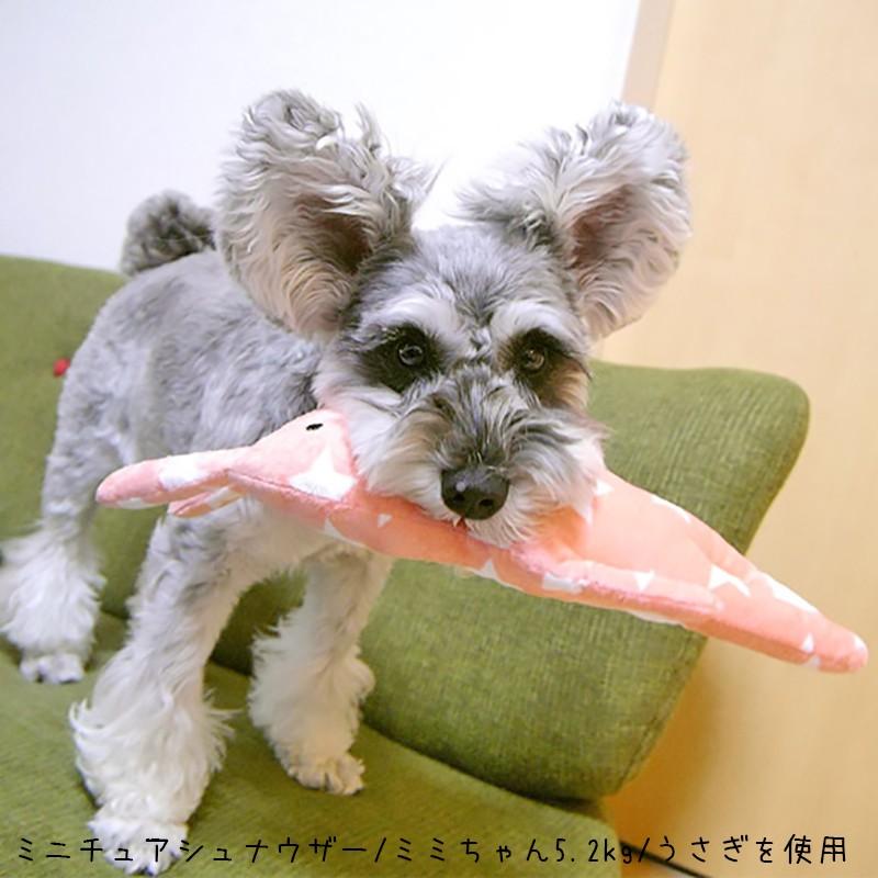 iDog 犬のおもちゃ 森の仲間たち うさぎ カシャカシャ入り 12624-01