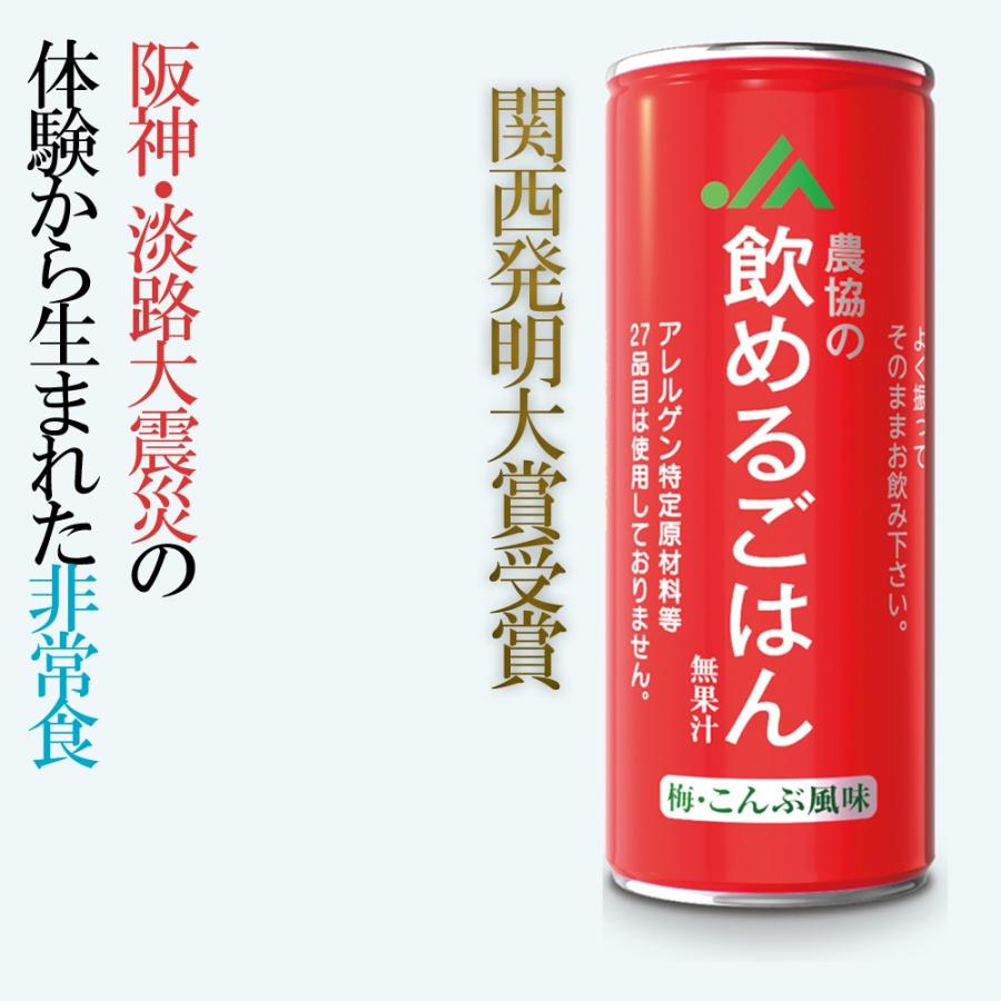 期間限定特価 飲めるごはん 災害食大賞19受賞 非常食 30本セット 276円 本 備蓄 ココア シナモン 梅こんぶ 1ケース 停電 地震 防災 減災 アウトドア 豪雨災害 送料無料 Babylonrooftop Com Au