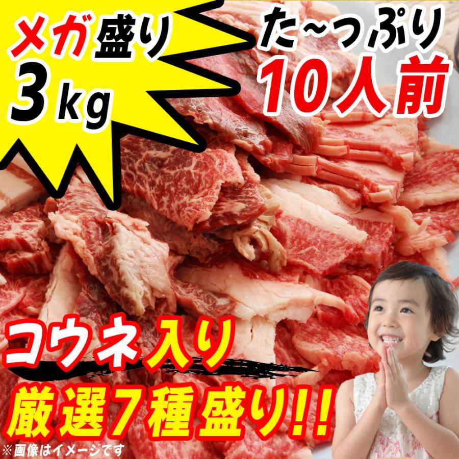 店長暴走企画 ポイント10倍 メガ盛り 焼肉セット 3kg コウネ カルビ ホルモン 鶏肉 特選 焼肉 q ビールのお供 冷凍 送料無料 Fksn Sc アルディーオンラインストア 通販 Yahoo ショッピング