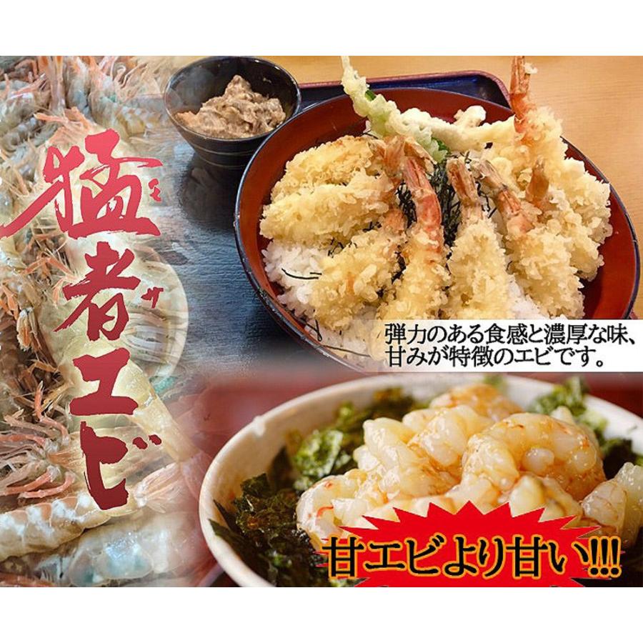 送料無料 産地直送 国産 天然 生 猛者海老 モサエビ 幻のエビ クロザコエビ 越前エビ ザコエビ ドロエビ 500g 日本海 海の幸 ギフト 旬 Mkry Mosa 50 アルディーオンラインストア 通販 Yahoo ショッピング