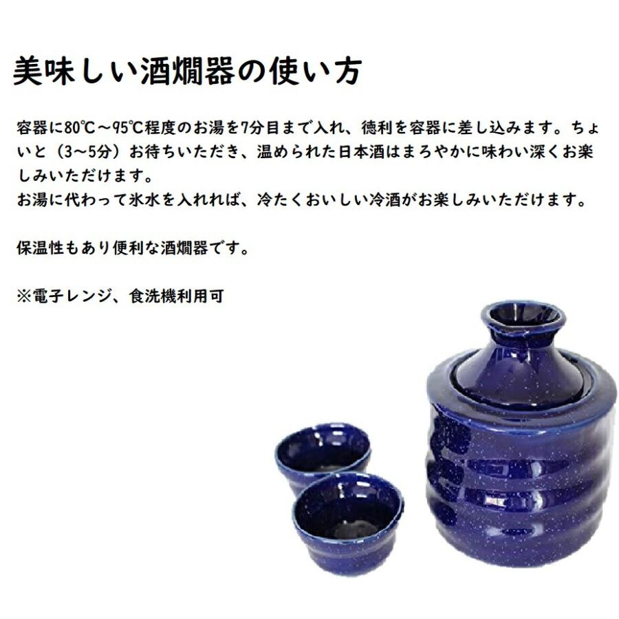 酒器セット 酒燗器 備前吹 保温器付き酒器 (大) 盃 2個付 しゅかんき