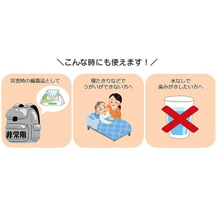口腔ケア ハビナース 歯みがきティッシュ 10枚入×48個 669101AP ピジョンタヒラの画像