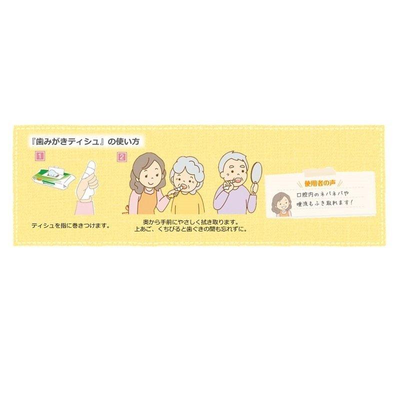 口腔ケア ハビナース 歯みがきティッシュ 10枚入×48個 669101AP ピジョンタヒラの画像