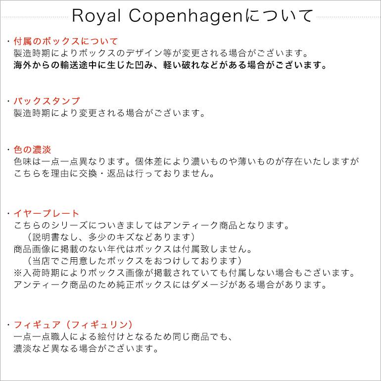 ロイヤルコペンハーゲン 2枚セット プリンセス プレート フラットプレート 19cm 1104620 1017270の画像