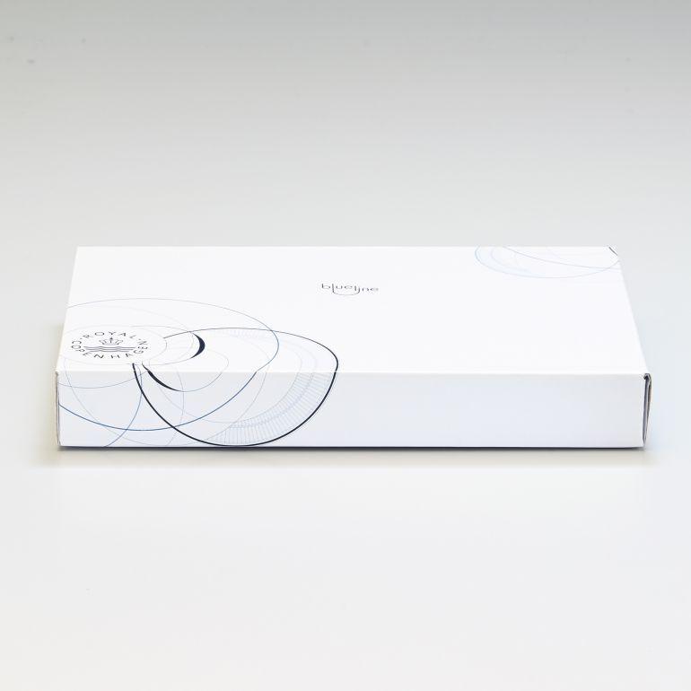 ROYAL COPENHAGEN（ロイヤルコペンハーゲン） 2枚セット ブルーライン